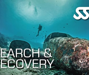SSI Search & Recovery