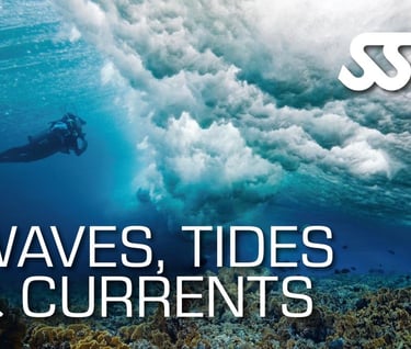 SSI Waves, Tides & Currents