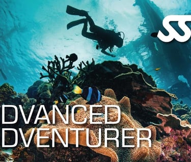 SSI Advanced Adventurer