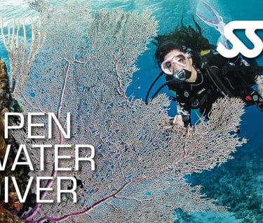 SSI Open Water Diver