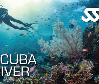 SSI Scuba Diver