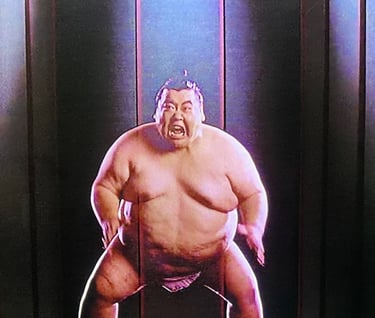 Defending Your Life - Old Lady, Large Sumo