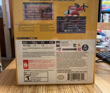 Snow Bros. Special Collector's Edition Backside