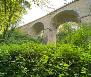 Sendero Bois de Serre, adecuado para visitar en Bicicleta