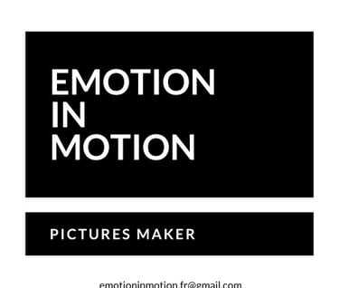 Logo Emotion in Motion FR