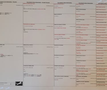 lignée de notre étalon