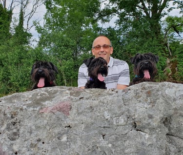 zwergschnauzer