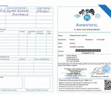 pedigree officiel allemand de notre femelle reproductrice 