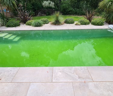 Piscine verte, manque de désinfectant à Uzès