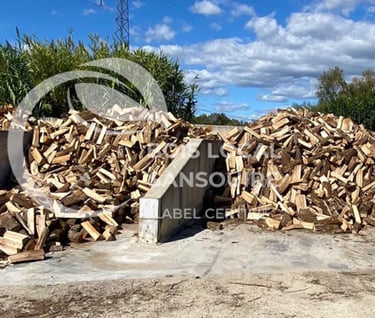 entrepôt de bûches coupées