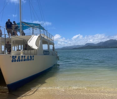 Boat in Hawaii