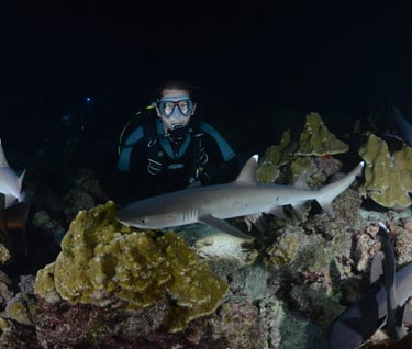 Tracey Billington Scuba Diving with sharks at Cocos Islands, Costa Rica