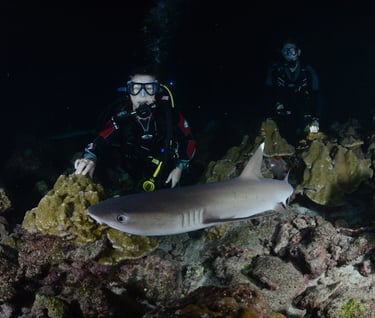 Tracey Billington Scuba Diving with sharks at Cocos Islands, Costa Rica