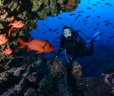 Tracey Billington Scuba Diving with sharks at Cocos Islands, Costa Rica