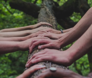 Photo by Shane Rounce at Unsplash