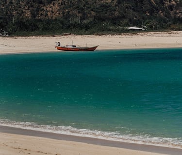 a boat in the water near a beach