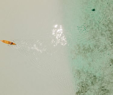 a person in a canoe in the water with turtles
