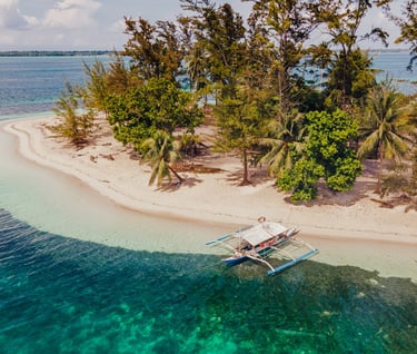 a boat is sitting on a small island