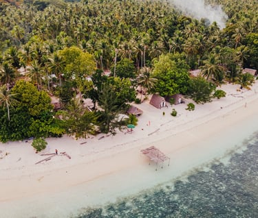 a beach with a small island and palm trees