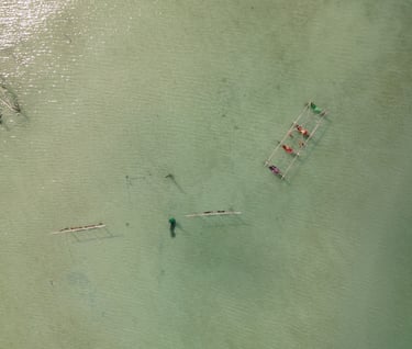 a group of people are rowing on the water