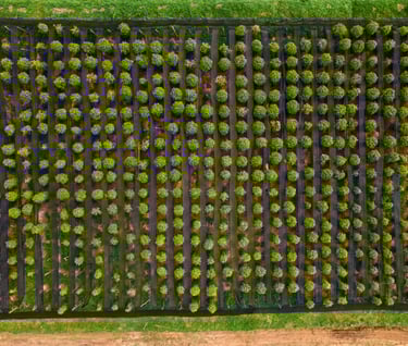 a fenced in area with a fenced in area with a fence