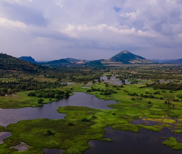 a view of a river and mountains in the distance
