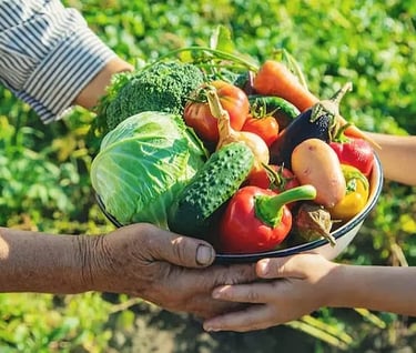agnihotra agriculltura homa argentina