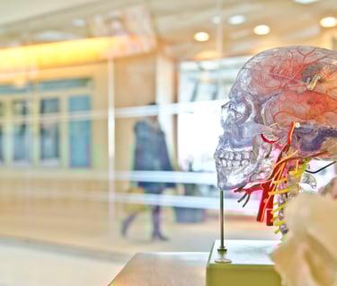 How Storytelling Rewires Your Brain