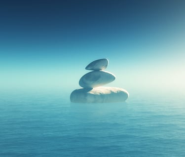 ¿ Qué significa Seijaku? | Seijaku Agency