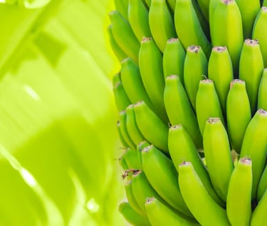Racimo de banana con Organicrab aplicado
