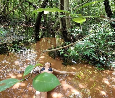 Fervedouro, fazenda rio vermelho,  ecoturismo Mambaí , turismo 