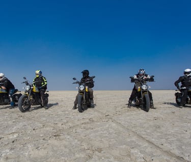 rajasthan road trip sambhar salt lake