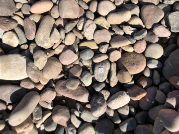 Arizona River Rock 1 1/2"-3".jpg