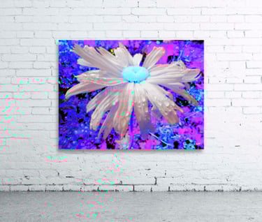 Canvas print of a colourful Daisy flower hanging on a white brick wall. 