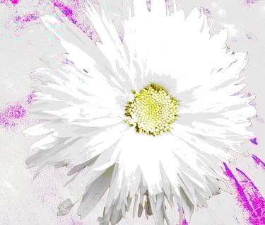 Digital image of floral digital art featuring a Daisy flower on an abstract background.