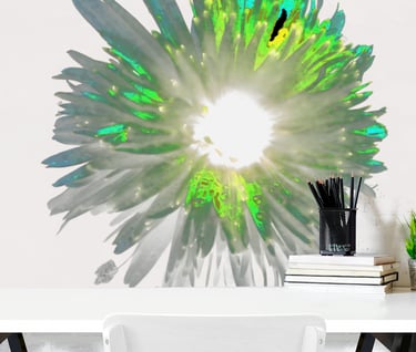 Canvas Prints on an office wall with an artistic Daisy flower printed on it 