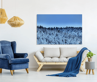 Blue Pine forest image on canvas print on wall with a chair and couch 