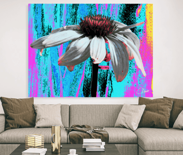 Image of Echinacea flower up close on a coloured background on a canvas print
