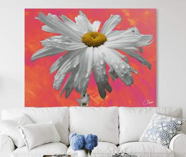 Digital image of a Daisy flower on a vibrant background on a canvas print on a livingroom