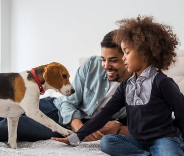 pet wellness care guide