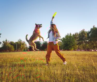 pet wellness care guide