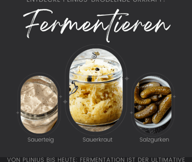 Fermentieren Sanapendium