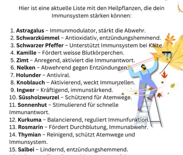 Heilpflanzen im Herbst - Sanapendium