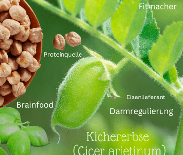 Kichererbse Brainfood