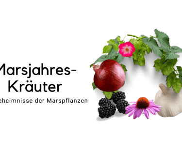 Marsjahres-Kräuter Signaturenlehre - Sanapendium