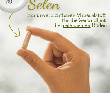 Selen - ein wichtiges Mineral. Sanapendium