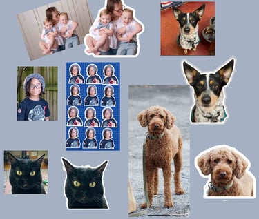 a collage of pictures of a dog and a cat