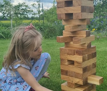 jenga lauko zaidimu nuoma siauliuose