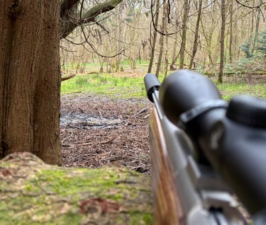 Stalker's view through a Sussex woodland clearing with rifle scope and barrel in the foreground