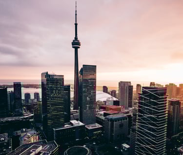 Your Partners in Digital Success | CHPT Digital